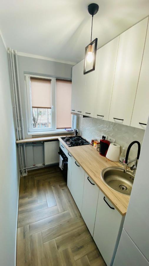 Dacia Apartment Timişoara Exterior foto