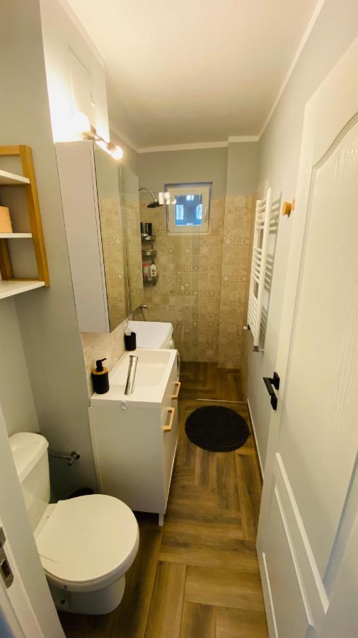 Dacia Apartment Timişoara Exterior foto